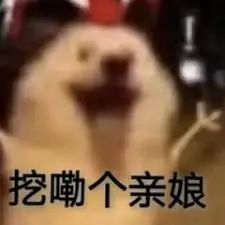 国产 AI 搜索接入 DeepSeek，高速，满血，还能联网！
