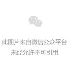 我终于拿到Manus邀请码，体验教程新鲜出炉！