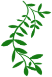 揭秘MCP:AI大模型的万能接口,开启智能新时代