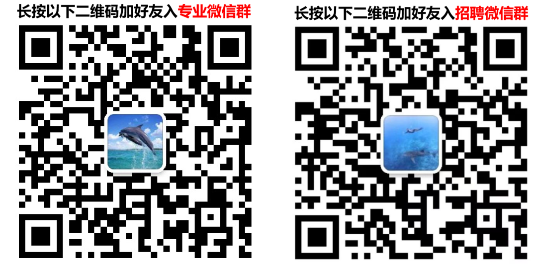 3 小时搞定 5 万字段!LLM 自动生成数据字典实战指南