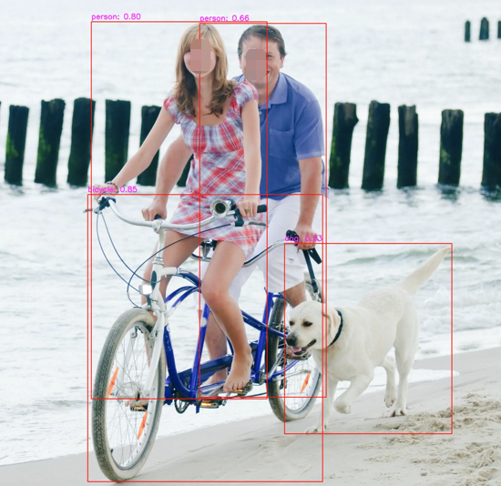 AI 基础知识从 0.4 到 0.5—— 计算机视觉之光 CNN