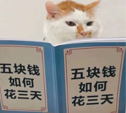 图片[3]-Cursor自研模型反超Opus 4.6！价格脚踝斩，氛围编程沸腾了 - AI资源导航站-AI资源导航站